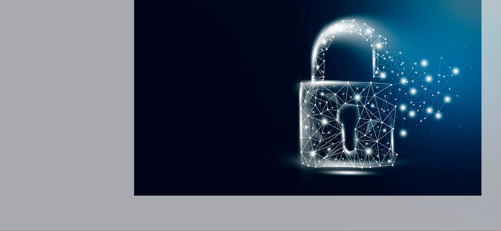 Protection from hackers Cyber Security